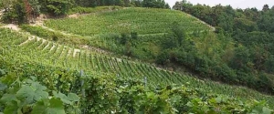 amphitheatre Isolabella della Croce