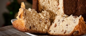 zoom panettone