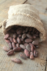 fèves de cacao