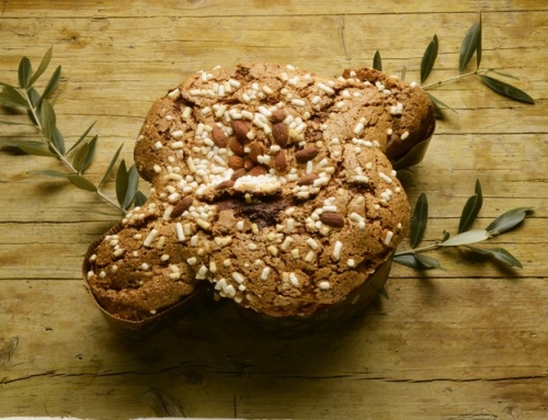 La Colombe de Pâques : symbole de paix et de renouveau