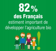 Le marché Bio en France