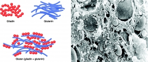 structure : le sans gluten un feu de paille ?
