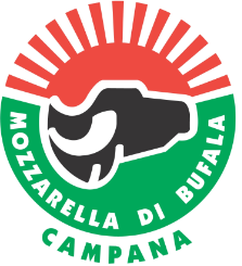 Logo Mozza