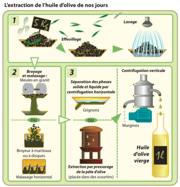 production huile d'olive Afidol