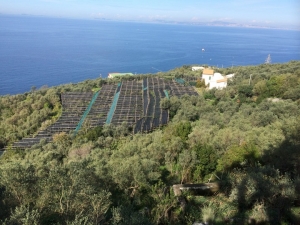 vue sur villa murat