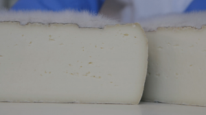 moisissure, le fromage vit et tant mieux