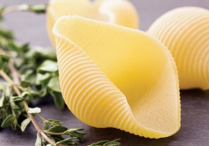 conchiglioni