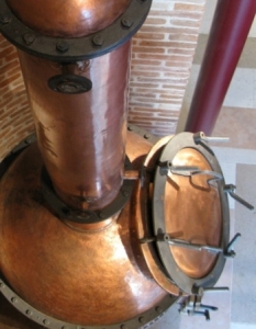 poli_museo_grappa_alambicco