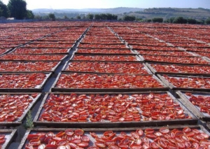 tomates séchées au soleil