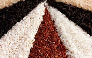 Comment choisir son riz à risotto