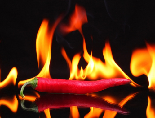 Tout sur le piment calabrais