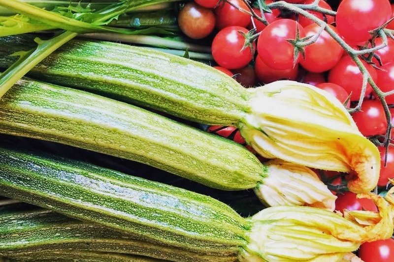 courgette et tomate 530 ettari