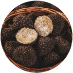 Truffe noire d'été